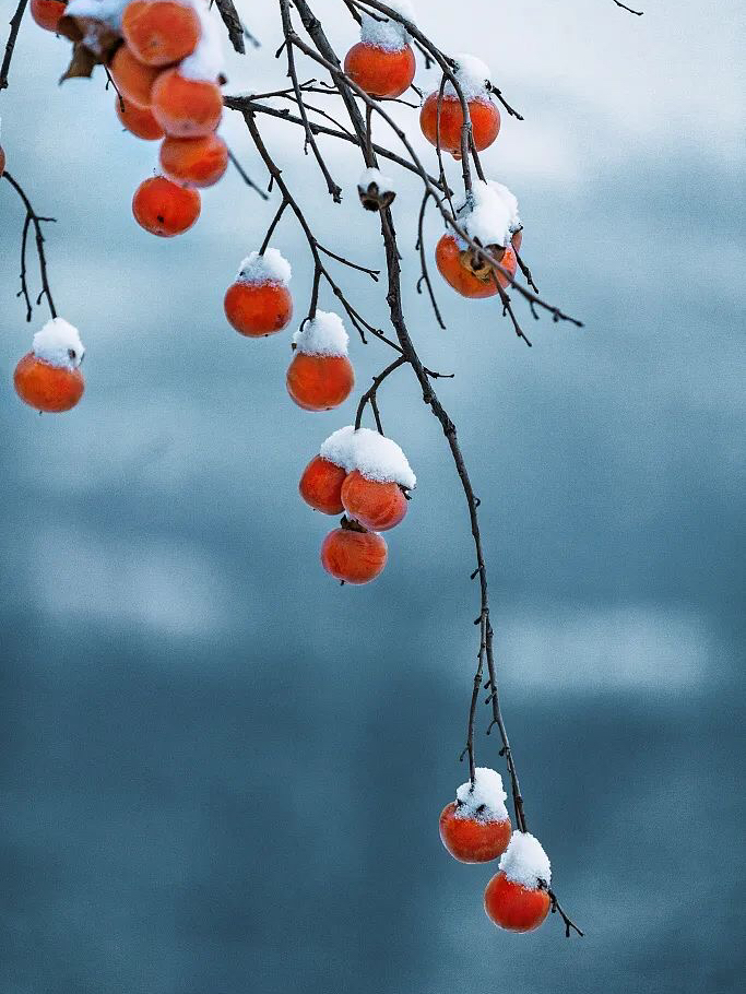 小雪节气,冬季养生正当时，小雪节气温暖提醒＂。