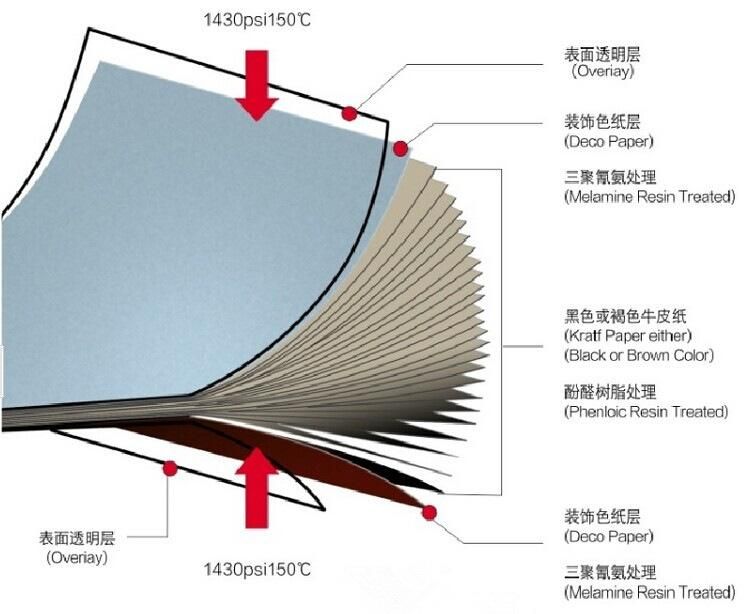 专题快报 第521页