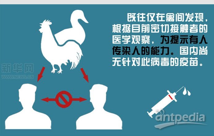 流感h7n9最新消息,H7N9流感最新动态