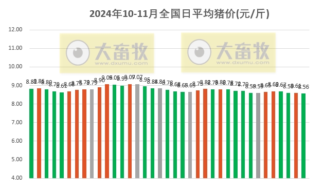 猪价最新走势,猪市动态分析报告新鲜出炉