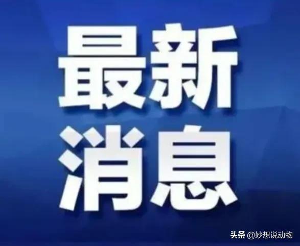 灵通资讯运城最新招聘,运城资讯快报：最新招聘信息