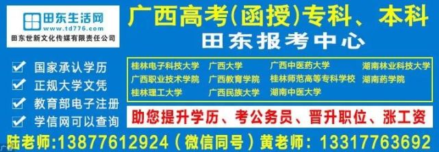 田东县招聘网最新招聘,田东县人才招聘平台发布最新一期岗位信息。