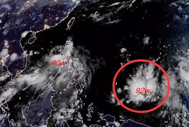 上海台风最新消息今天,今日上海台风动态速报。