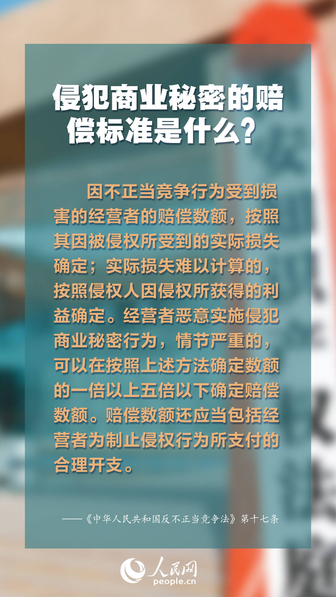 2024新澳正版免费资料大全,据学探释用验解解_动特款G90.85