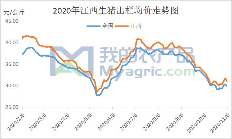 江西生猪价格今日猪价最新,江西生猪市场动态，今日猪价最新行情揭晓。