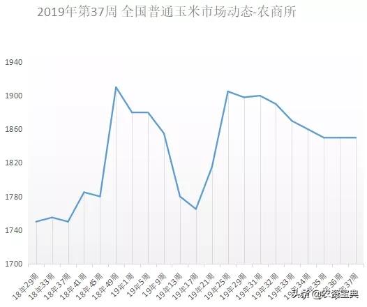 当前玉米价格最新消息,玉米市价动态追踪，新讯速报！