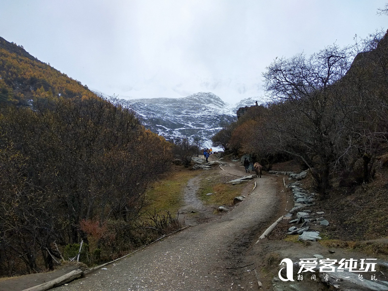 亚丁到泸沽湖最新路况,泸沽湖畔实时路况，亚丁山道最新动态。