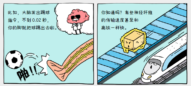 最新圣手漫画故事,前沿漫画佳作故事新篇章