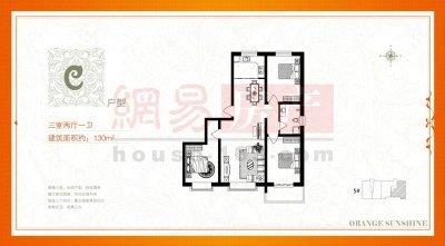 橙市阳光最新动态,橙市阳光最新进展瞩目。