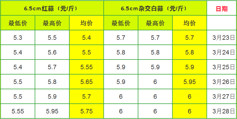 最新蒜的价格,蒜价再创新高，最新行情备受关注。