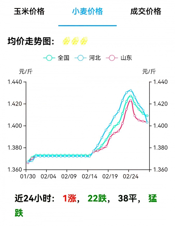 今天最新小麦价格河北,河北小麦市场今日最新行情公布。