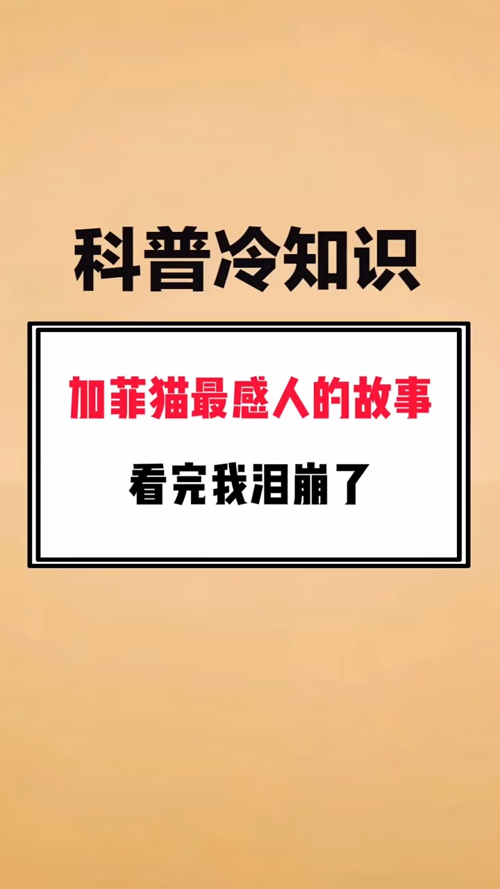 警示：探秘章营颖的最新消息，揭开她背后的真实故事与动人秘密