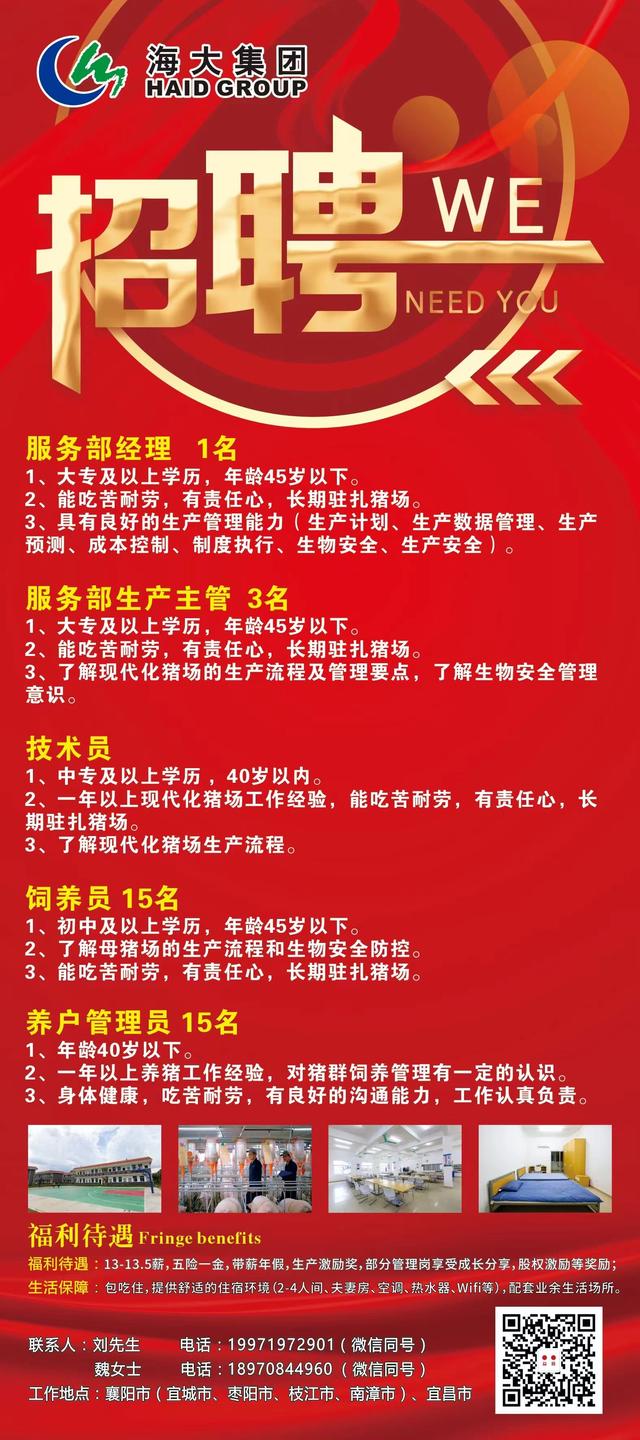 揭秘南县招聘网最新招聘信息：探索职场新机遇，助你轻松找到理想工作！