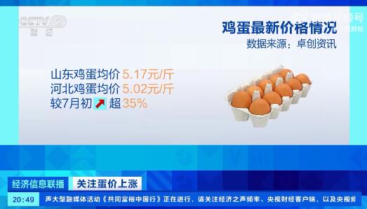 探索山东最新鸡蛋价格行情背后的秘密：消费者需警惕价格波动的真相与影响