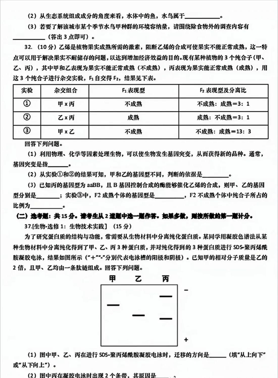 最新高考试题,2023高考真题揭晓