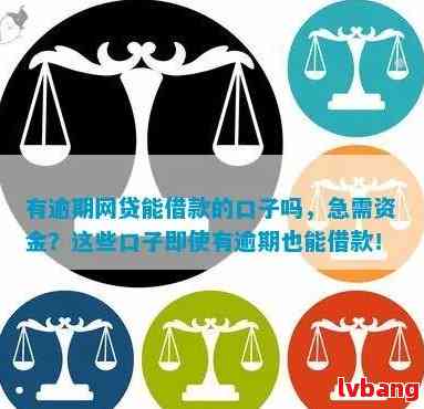 最新网贷口子解析,网贷平台最新揭秘