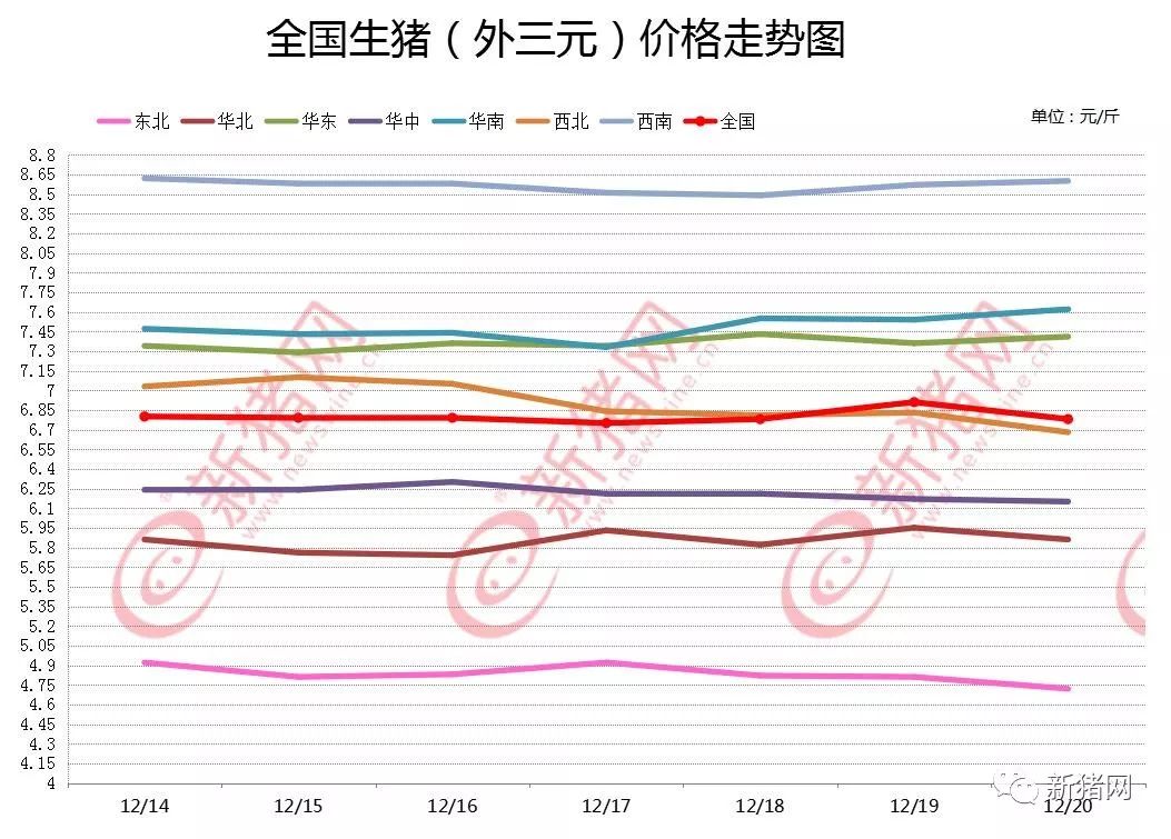 猪最新行情,猪价实时动态