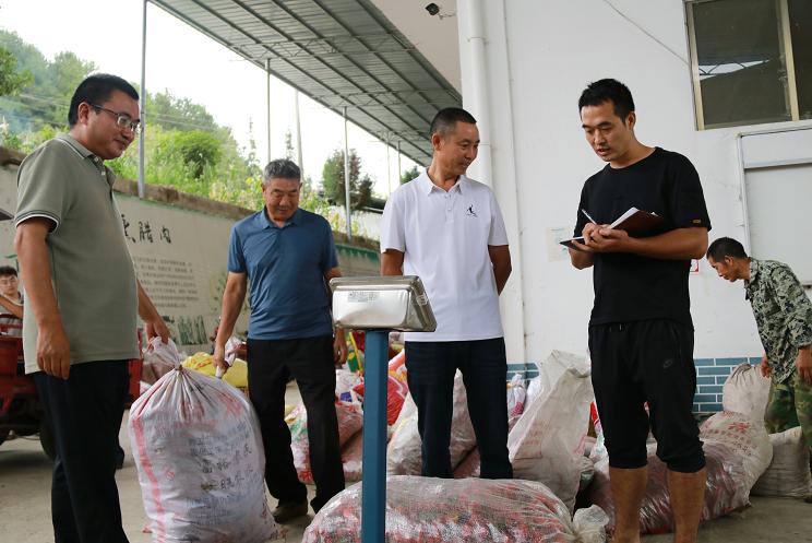 干辣椒行情最新价格-干辣椒实时行情价