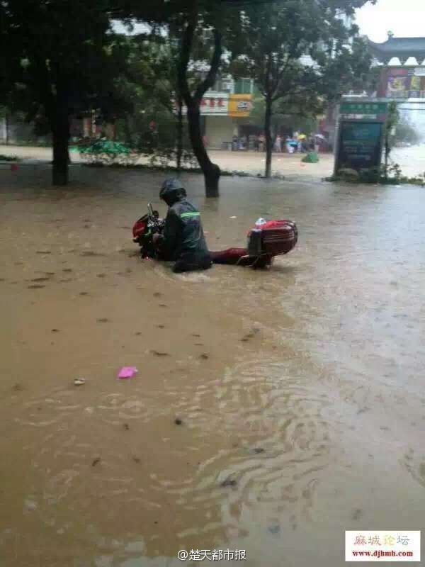 “蕲春湖北暴雨最新动态”