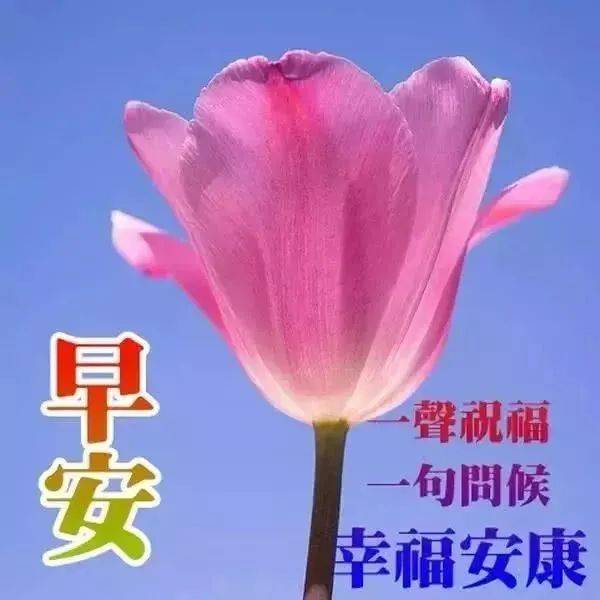 清新晨光问候图，美好祝福迎新日