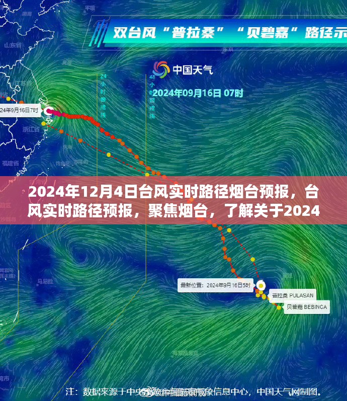 2024年盛夏风华，台风新航迹实时追踪之旅