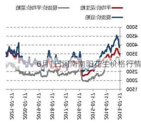 河南正阳优质花生米实时行情：最新价格动态揭晓