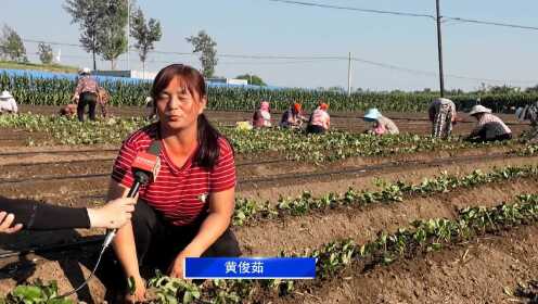 最新资讯速递：望都动态盘点