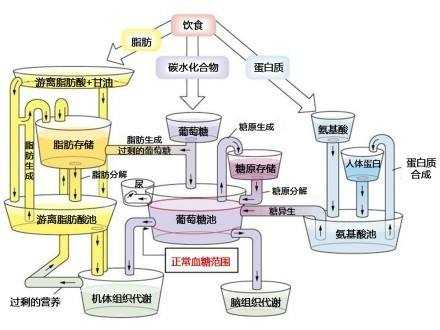 月下风前人